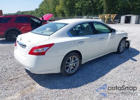 2010 Nissan Maxima 3.5 S z USA, uszkodzony, nr VIN 1N4AA5AP6AC847590